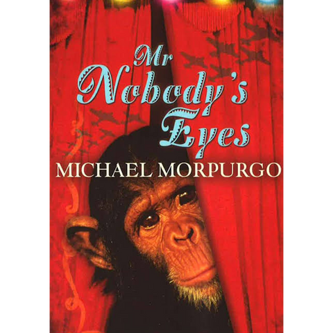 Mr Nobody's Eyes