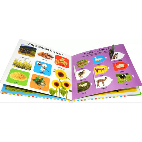 First 100 Farm Words Lift The Flap