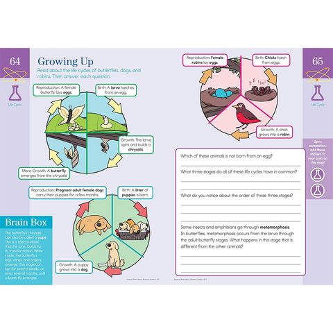 Brain Quest Summer Between Grades 2 & 3