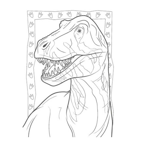 Colouring Set : Dinosaur