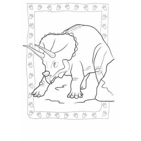 Colouring Set : Dinosaur