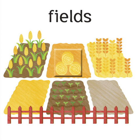 3D Look Thru Farm