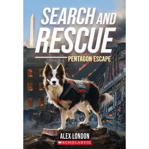 Search and Rescue Pentagon Escape