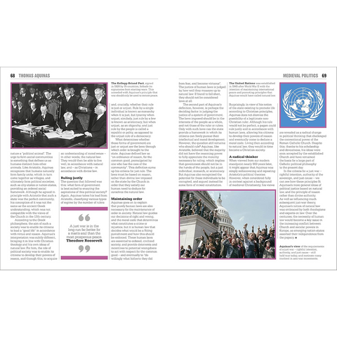 DK Politics Book (UK)