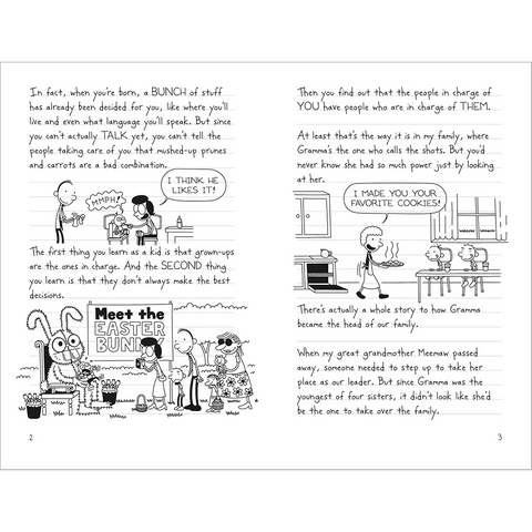 Diary of Wimpy Kid #19 Hot Mess