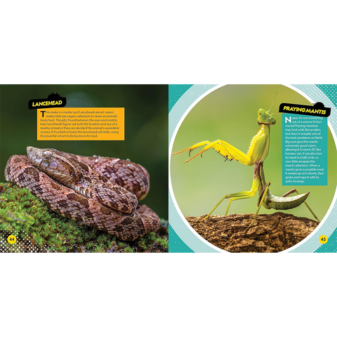 National Geographic Kids Deadliest Animals on the Planet