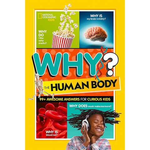 NGK Why? Human Body