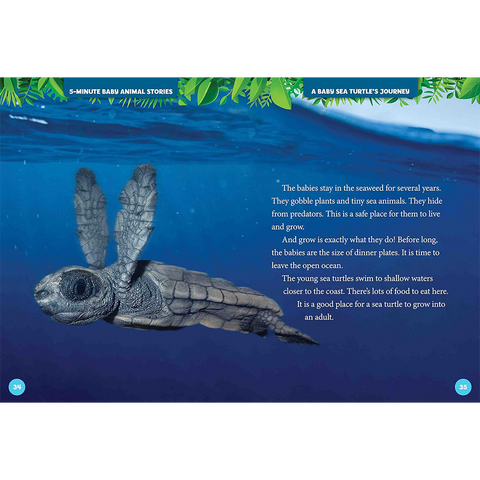 National Geographic Kids 5 Minute Baby Animal Stories