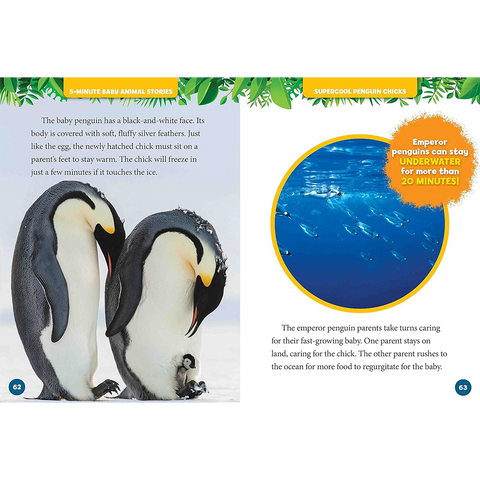 National Geographic Kids 5 Minute Baby Animal Stories