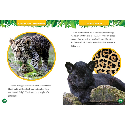 National Geographic Kids 5 Minute Baby Animal Stories