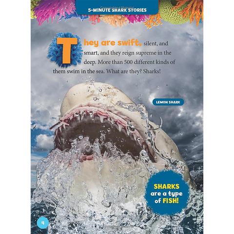 National Geographic Kids 5 Minute Shark Stories