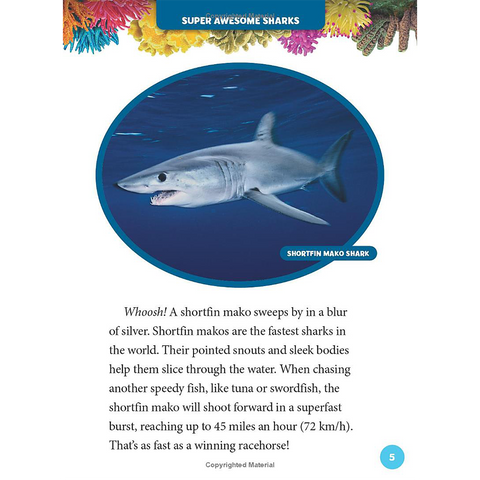 National Geographic Kids 5 Minute Shark Stories