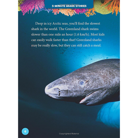 National Geographic Kids 5 Minute Shark Stories