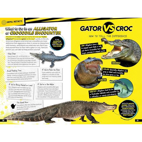 National Geographic Kids Survival Guide