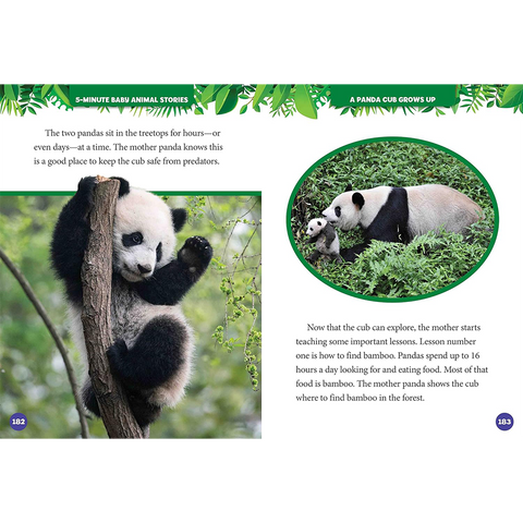 National Geographic Kids 5 Minute Dinosaur Stories
