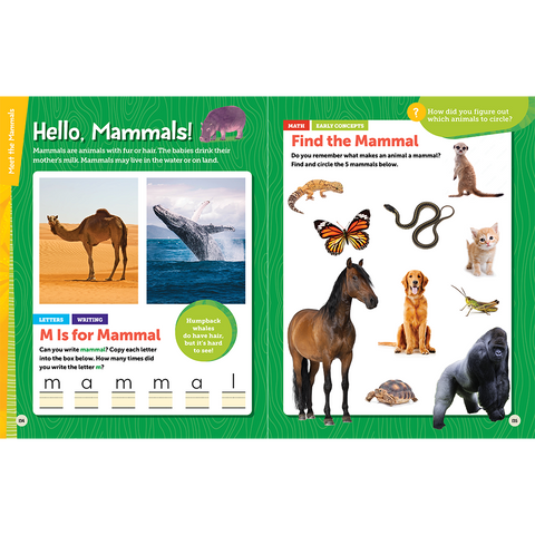 National Geographic Kids Explore! Workbook: Pre-K