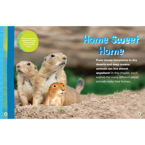 National Geographic Kids Explore! Workbook: Pre-K