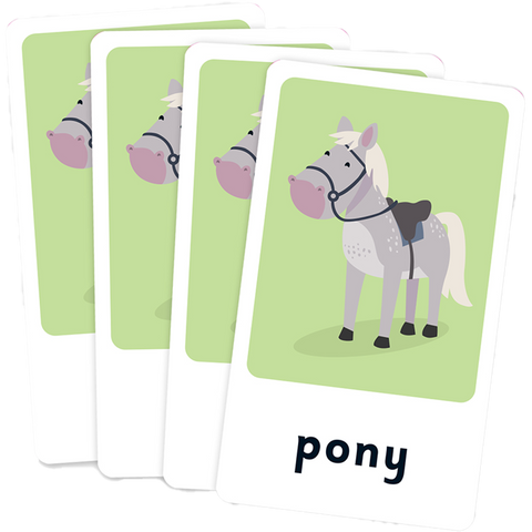 Junior Explorers Pets Memory Match Flash Cards