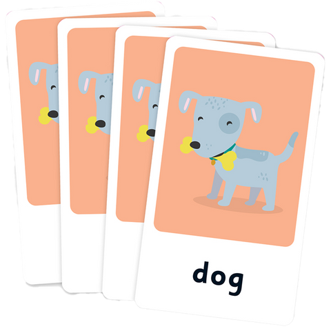 Junior Explorers Pets Memory Match Flash Cards