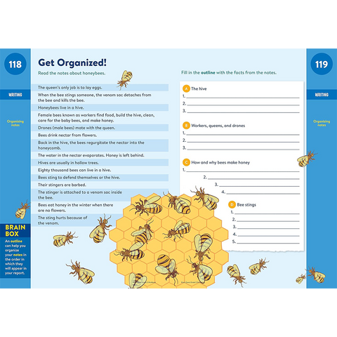 Brain Quest Workbook : 5th Grade Ages 10-11 (Revised Edition)