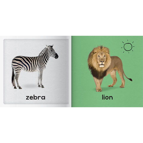 Baby First Animals (Building Blocks)