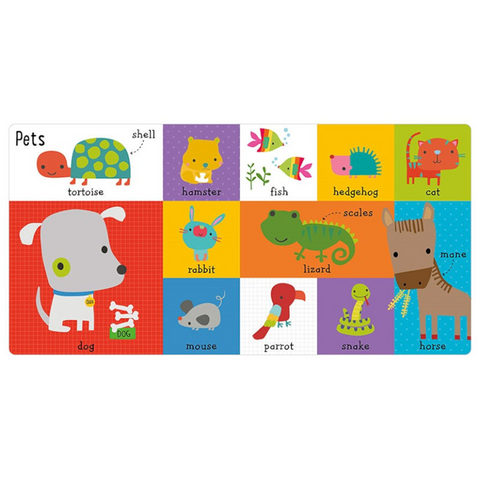 100 First Animal Words