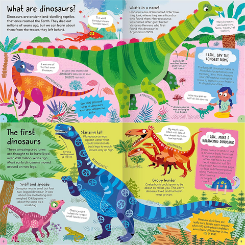 First Dinosaurs Book