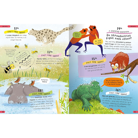 A Year of Curious Animal Facts