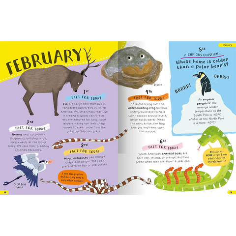 A Year of Curious Animal Facts