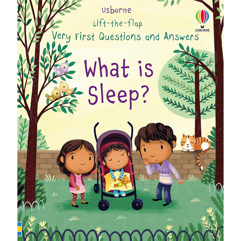 What is Sleep? Lift The Flap
