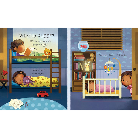 What is Sleep? Lift The Flap