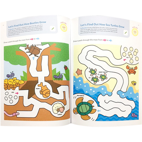 PlaySmart Brain Boosters 3+